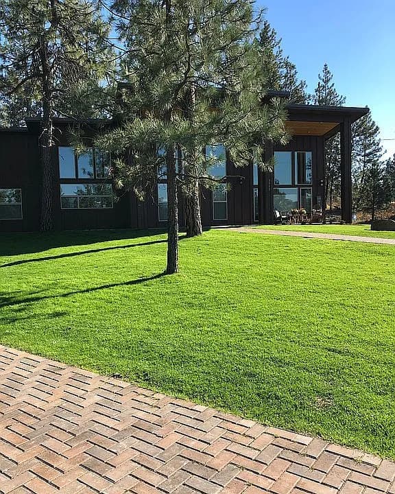 Dark modern custom home with large windows and a covered porch among mature pines — a Zulu Built project